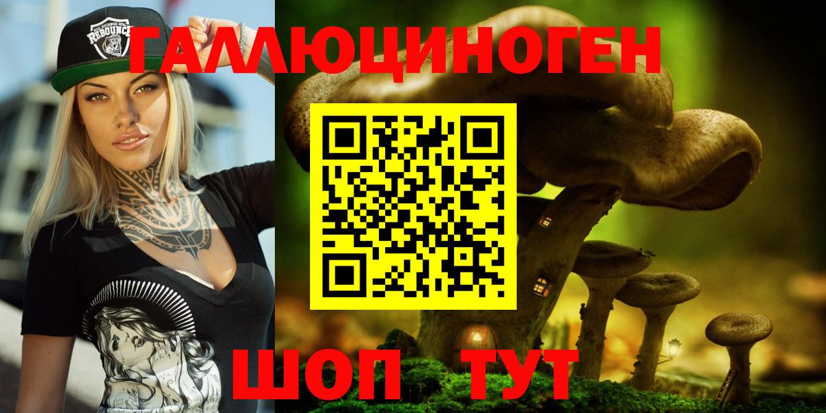 Псилоцибиновые грибы мицелий Сосновый Бор