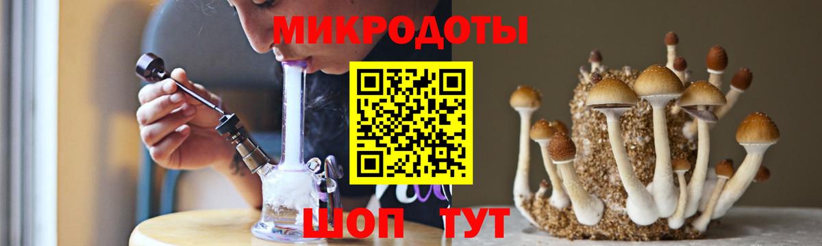Сосновый Бор  Галлюциногенные грибы прущие грибы  наркота  Вход с VPN  Псилоцибиновые грибы GOLDEN TEACHER 